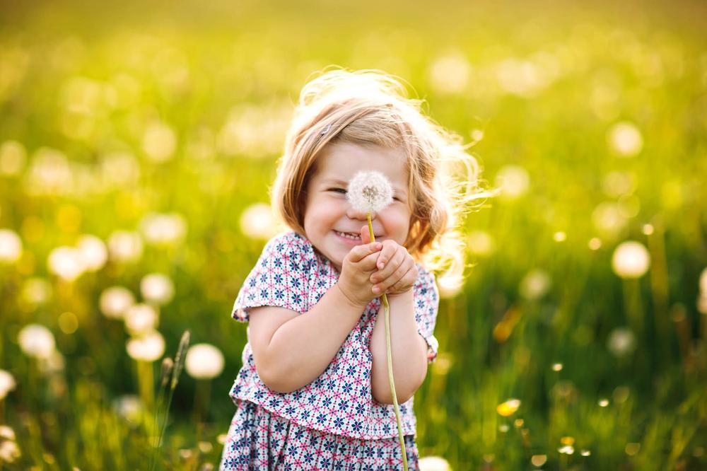 Kind mit Pusteblume auf einer sonnigen Frühlingswiese