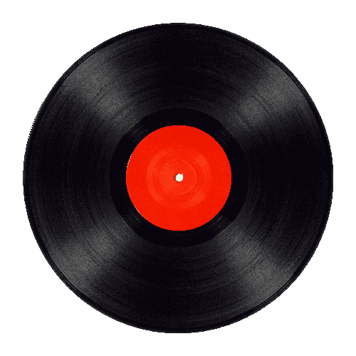 Schallplatten digitalisieren